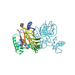 BU of 1tdb by Molmil