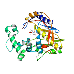 AU of 1tdm by Molmil