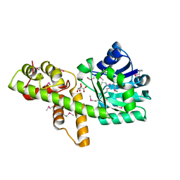 AU of 1tea by Molmil