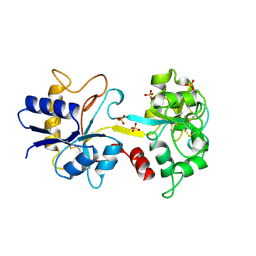 BU of 1tfa by Molmil