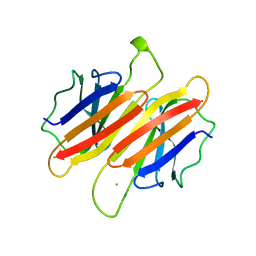 BU of 1tfp by Molmil