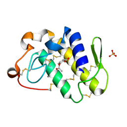 BU of 1tgm by Molmil