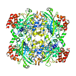 BU of 1tgu by Molmil