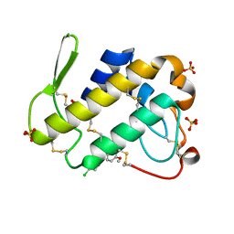 AU of 1ti0 by Molmil