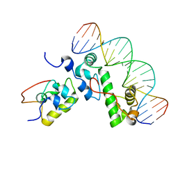 AU of 1ti9 by Molmil