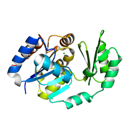 BU of 1tj4 by Molmil