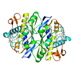 BU of 1tlc by Molmil