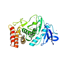 AU of 1tln by Molmil