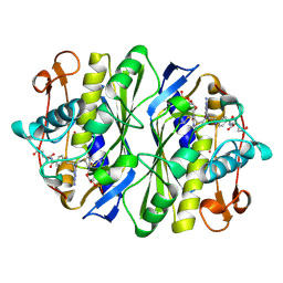 BU of 1tls by Molmil