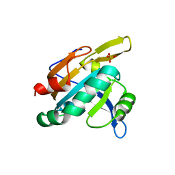 BU of 1tp9 by Molmil