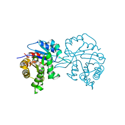 BU of 1tpd by Molmil