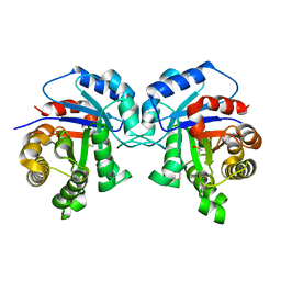 BU of 1tpf by Molmil