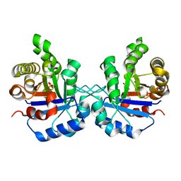 BU of 1tpu by Molmil