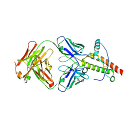 BU of 1tpx by Molmil