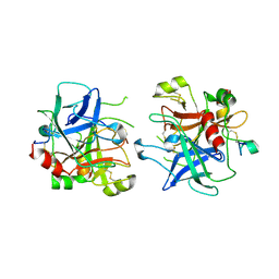 BU of 1tq0 by Molmil