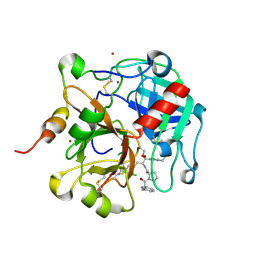 BU of 1tq7 by Molmil