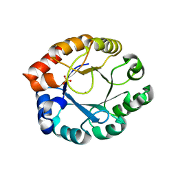 BU of 1tqx by Molmil