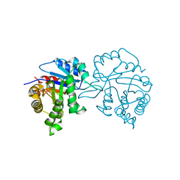 BU of 1trd by Molmil