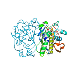 BU of 1trg by Molmil