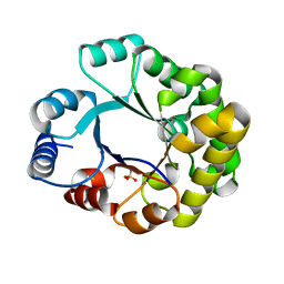 BU of 1tri by Molmil