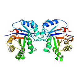 BU of 1tsi by Molmil