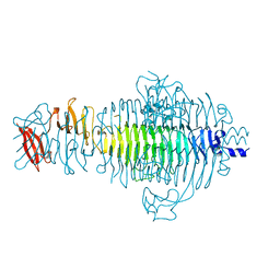 BU of 1tsp by Molmil