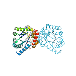 BU of 1tx0 by Molmil