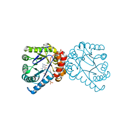 BU of 1tx2 by Molmil