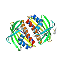 BU of 1txc by Molmil