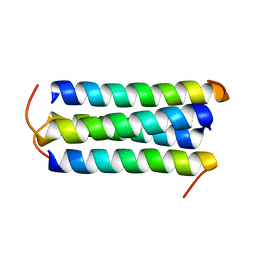 BU of 1txp by Molmil