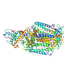 AU of 1txw by Molmil