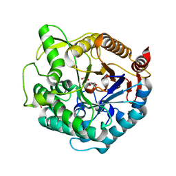 AU of 1uah by Molmil