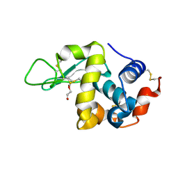 BU of 1uc0 by Molmil