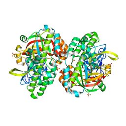 AU of 1uc2 by Molmil