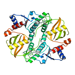 BU of 1uc8 by Molmil