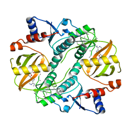 BU of 1uc9 by Molmil