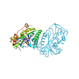 BU of 1udb by Molmil