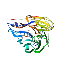 AU of 1uja by Molmil