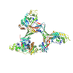 BU of 1ul1 by Molmil