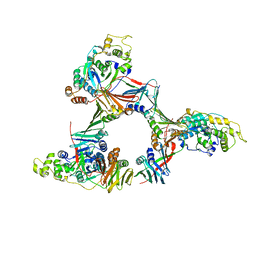 AU of 1ul1 by Molmil