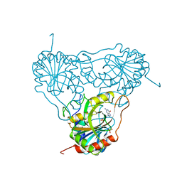 BU of 1ulb by Molmil