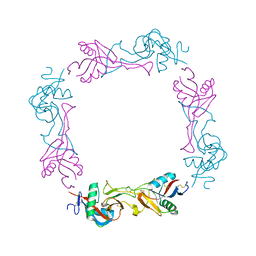 BU of 1umr by Molmil