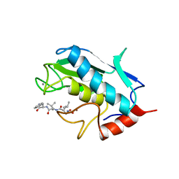 BU of 1ums by Molmil