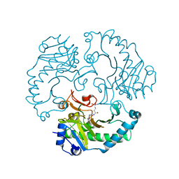 BU of 1uog by Molmil