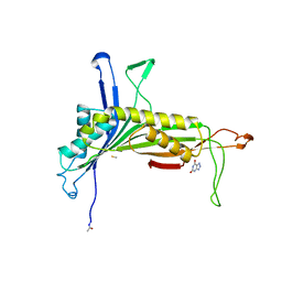 AU of 1uox by Molmil