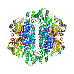 BU of 1upc by Molmil