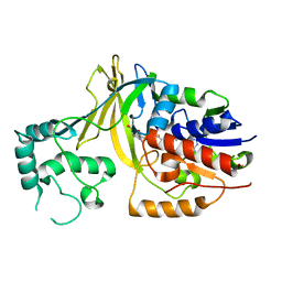 AU of 1usj by Molmil