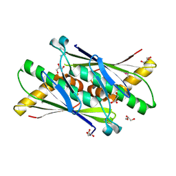 BU of 1usp by Molmil