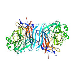 BU of 1usr by Molmil