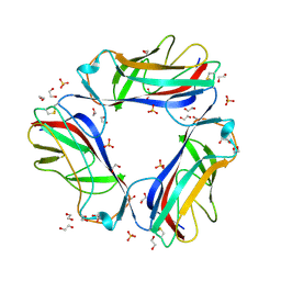 BU of 1ut1 by Molmil